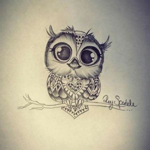 Meet your Posher, Robin